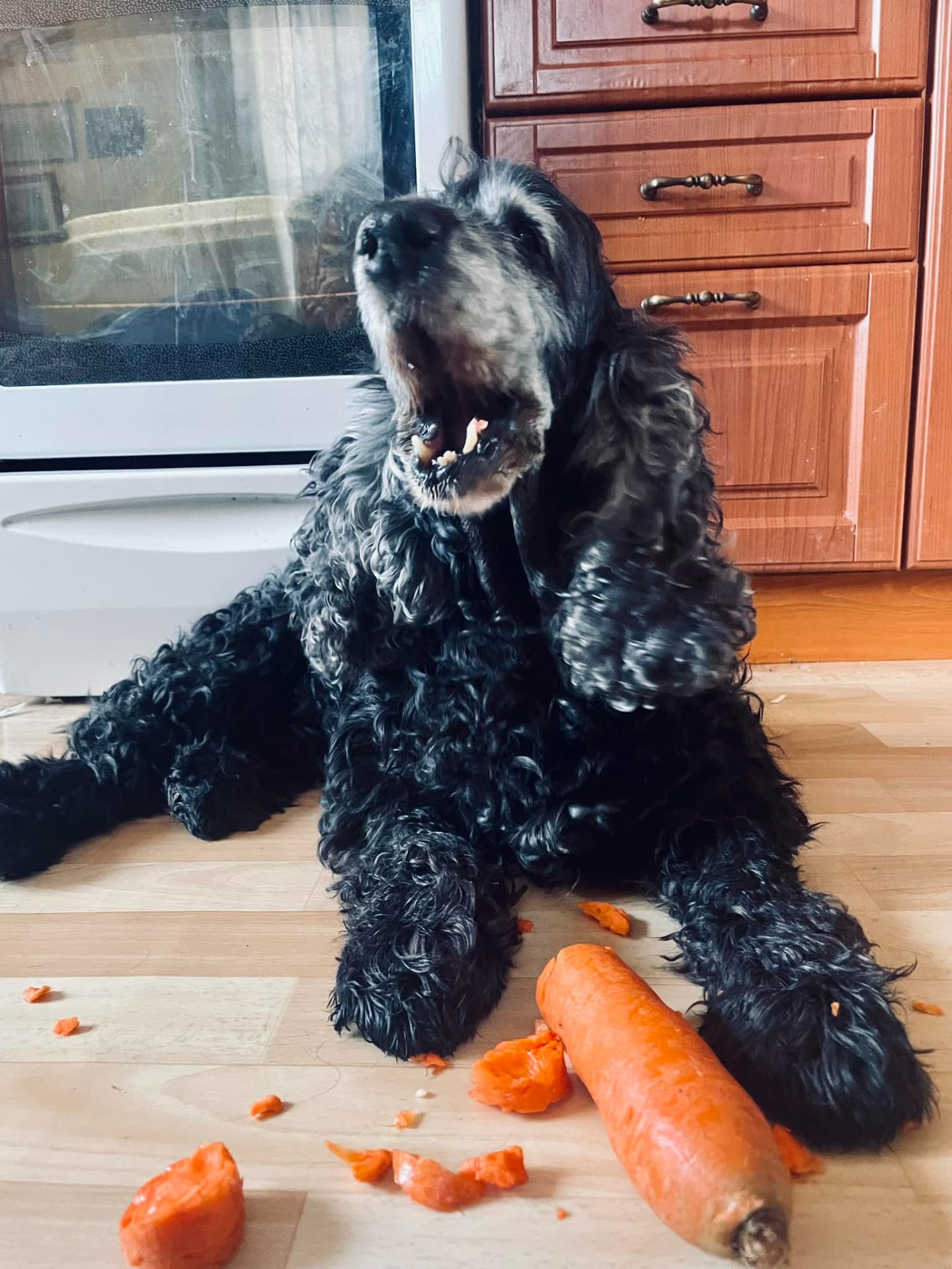 Cherry v 16 letech stále chutná